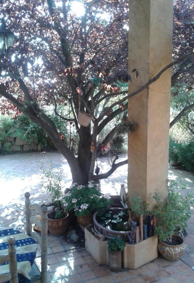 Atelier Pasquer Bed & Breakfast Fitou Luaran gambar